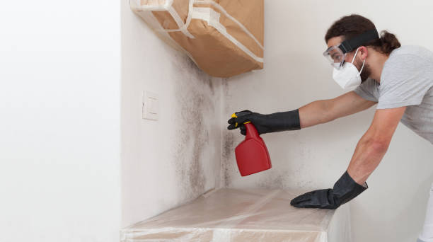 Professional Mold Testing technician working in Franklin Park, NJ